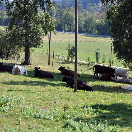 Mostheuriger Steyrdurchbruchalm Leonstein Eksteriør bilde
